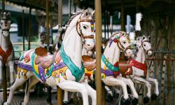 Featured image of post Uncategorized